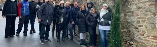 Foto cipressi illuminati