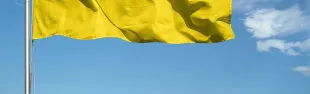 bandiera ucraina