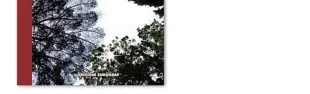 banner mario di nanni di pepole
