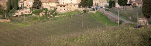Foto Badia a Passignano