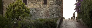 tignano
