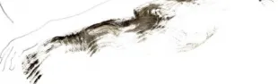 banner ensemble