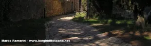 Foto Linari