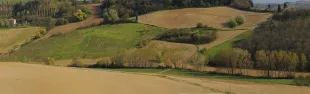 Foto Vico d'Elsa