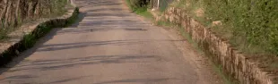 foto badia a passignano
