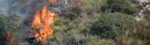 Immagine incendi