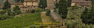 Foto Badia a Passignao