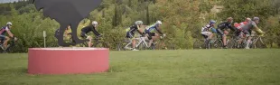 Granfondo del Gallo Nero