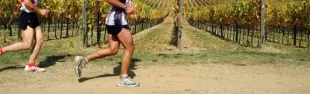 immagine Chianti Marathon 2023