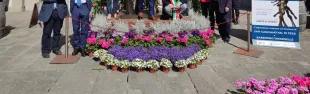 immagine inaugurazione Vitality di Sauro Cavallini