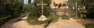 Chiesa di Romita
