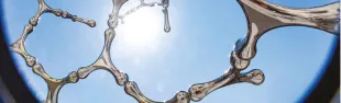 foto sculture water bones