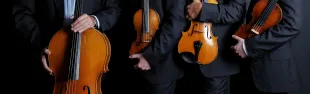 immagine Festival Pentecoste 2023_Quartetto Cremona