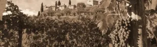 Foto itinerari vocali nel Chianti