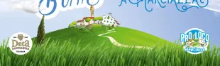 immagine Sagra Aria Bona 2023