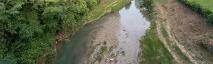 immagine Torrente Pesa