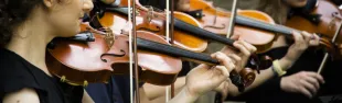 immagine chianti in musica