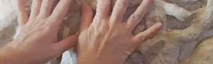 immagine Proserpina un mito da toccare