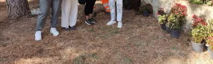 immagine begonie a cittadini San Donato in Poggio