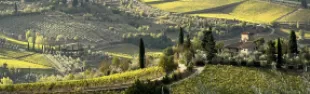 immagine territorio chianti classico