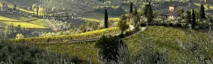 immagine paesaggio candidatura Unesco