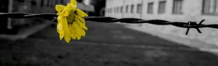 immagine 27 gennaio giorno della memoria