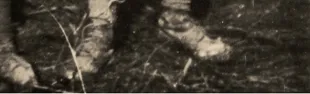 immagine Piero Bartalini