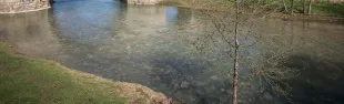 Giardini ponte sambuca