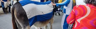 Palio dei ciuchi