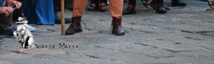 immagine Memoriae et Historiae Semifonte