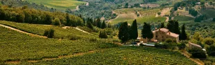 immagine paesaggio