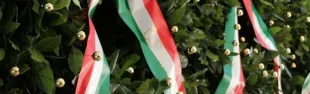 immagine giornata unità nazionale e forze armate 4 novembre