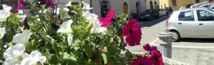 Vico d'Elsa_immagine