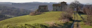 Tabernulae Trail 2024_banner