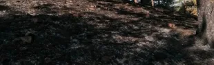 catasto incendi_banner