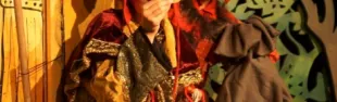 Il gatto con gli stivali_banner