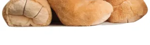 La notte dei pupazzi in biblioteca 2°_banner
