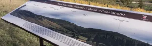 Badia a Passignano_panorama