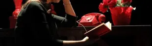 Torneranno a volare le rondini_banner