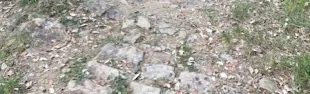 La Via militare Cassia_banner