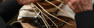 corso di cesteria_banner
