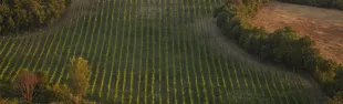 immagine territorio