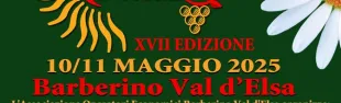 barberino in fiore_banner