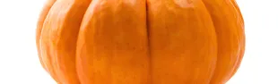 zuppa di zucca_banner