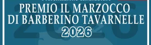 Banner premio Il Marzocco