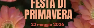 Banner festa di primavera