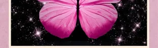 Banner la signorina Papillon
