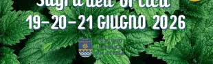 Banner sagra dell'ortica