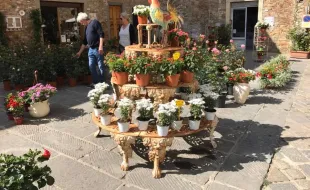 Barberino in fiore