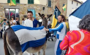 Palio dei ciuchi